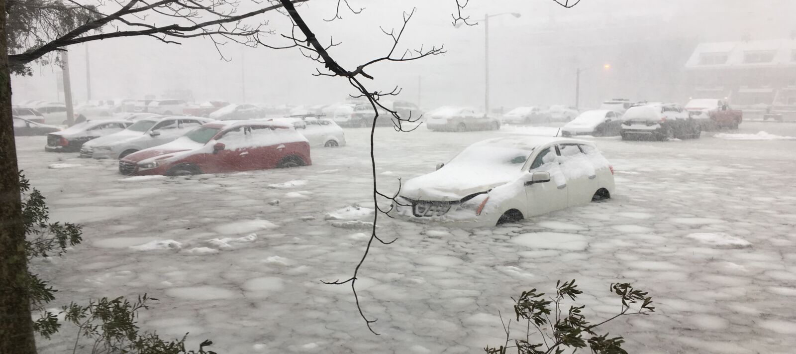 Cars parked by Boston's waterfront are flooded with snow and water
