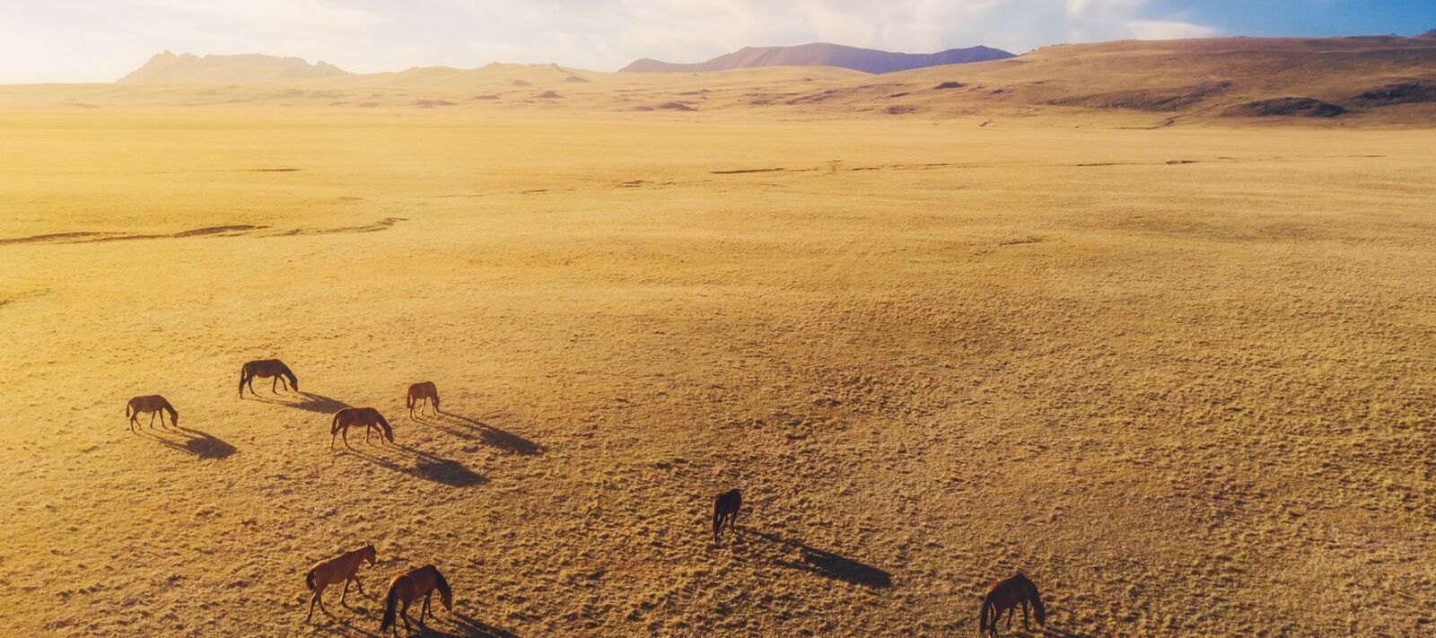 A group of students and their teachers film outside in the city.
